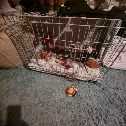 Photo of free Dog crate (Blacon CH1) #2