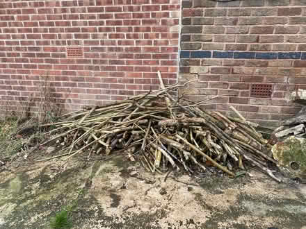 Photo of free Firewood (S17 Dore) #1