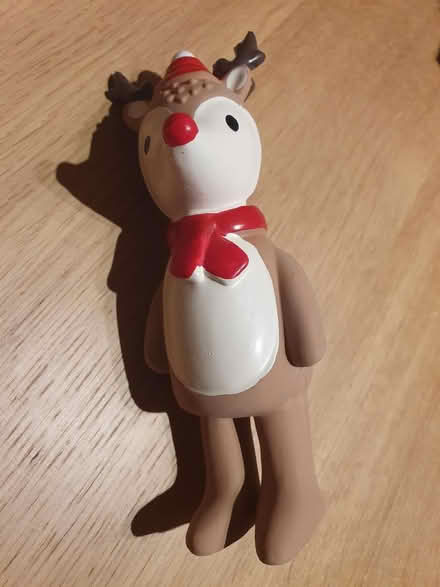 Photo of free Squeaky dog toy. (Sinfin DE24) #1