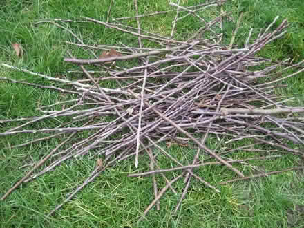 Photo of free Wood Pruning's - kindling from apple trees (Parson's Heath CO4) #4