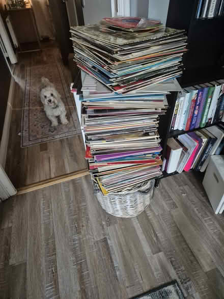 Photo of free Records (Rm3 0gd) #1