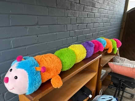 Photo of free Cuddly Caterpillar (DE56 - Duffield) #1