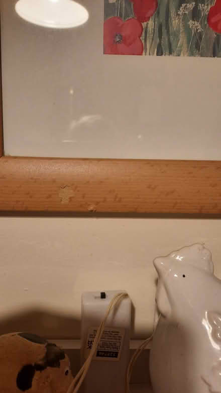 Photo of free Two picture's (Escomb, Bishop Auckland) #3