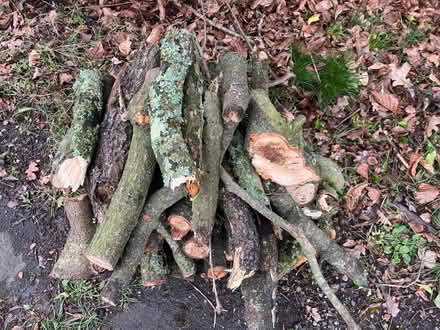 Photo of free Firewood logs (Great kingshill) #2