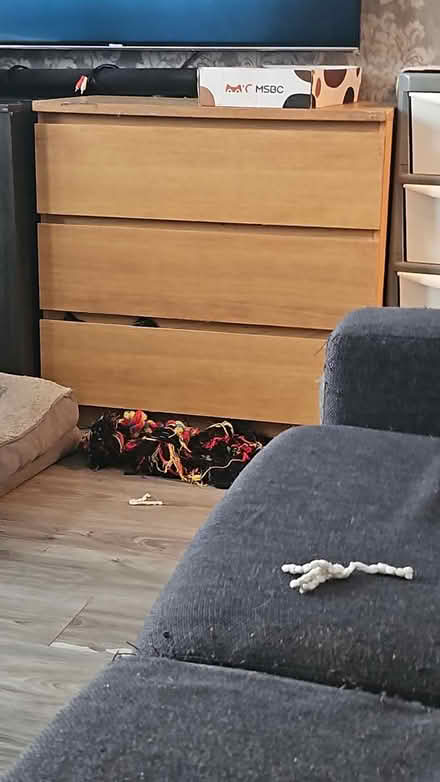 Photo of free Malm 3 drawer chest of drawers (SE26) #2