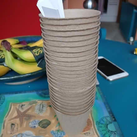 Photo of free 8cm fibre plant pots (Bradford on Avon BA15) #1