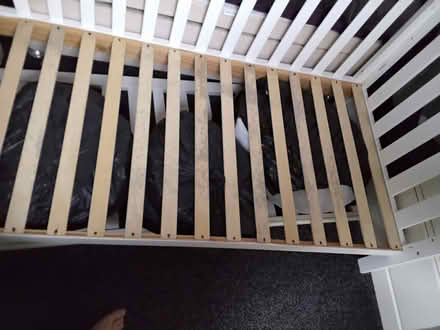 Photo of free Cotbed (Bordon GU35) #2