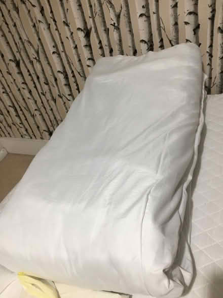 Photo of free 2 Double synthetic duvet - both clean and good state (North Cheam KT4) #2