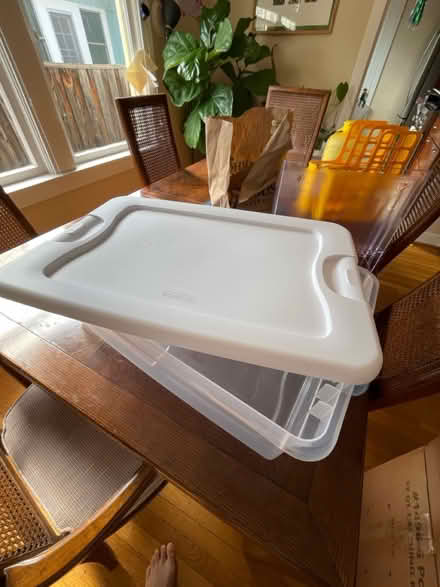 Photo of free Flat, Long Storage Bins (Professorville) #3