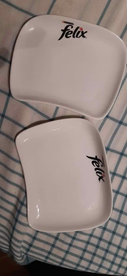 Photo of free 2 ceramic cat food bowls (Old Town BN20 8SZ.) #1