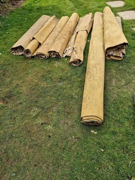 Photo of free 1970's carpet (Great Baddow CM2) #1