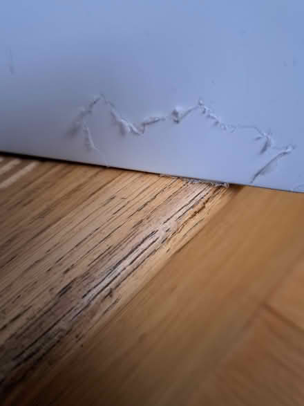 Photo of free bathroom cabinet (Stapleford Nottingham) #3