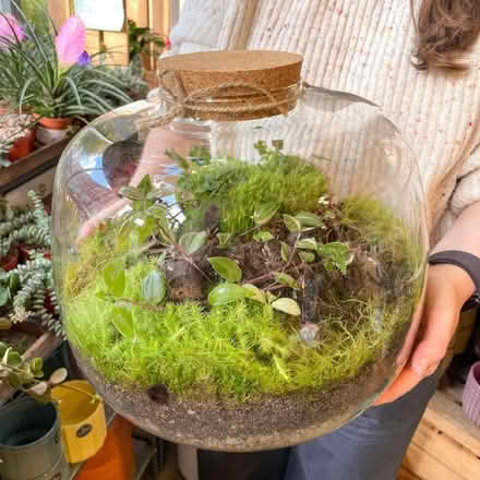 Photo of Large Glass Terrarium (Blackhorse BS16) #1