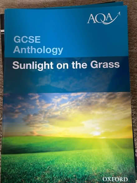 Photo of free GCSE English Lang revision books (CR7) #4