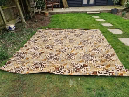 Photo of free 1970's carpet (Great Baddow CM2) #3