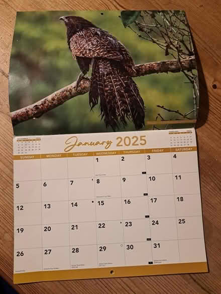 Photo of free 2025 calendar, new (TN37, Silverhill) #1