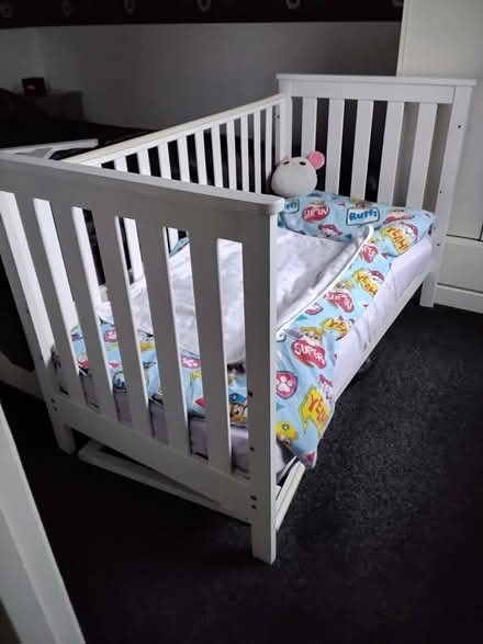 Photo of free Cotbed (Bordon GU35) #1