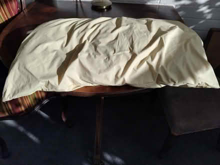 Photo of free Waterproof pillow (Farleigh Hungerford BA14) #1