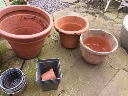Photo of free Plastic plant pots (CT15) #1
