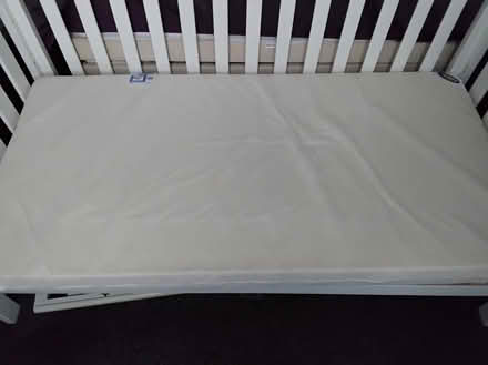 Photo of free Cotbed (Bordon GU35) #3