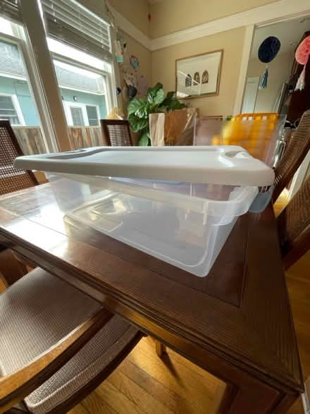 Photo of free Flat, Long Storage Bins (Professorville) #2