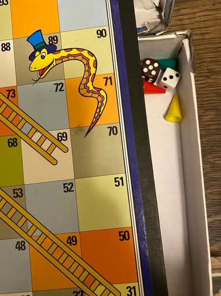 Photo of free Snakes and ladders (Highams park) #2