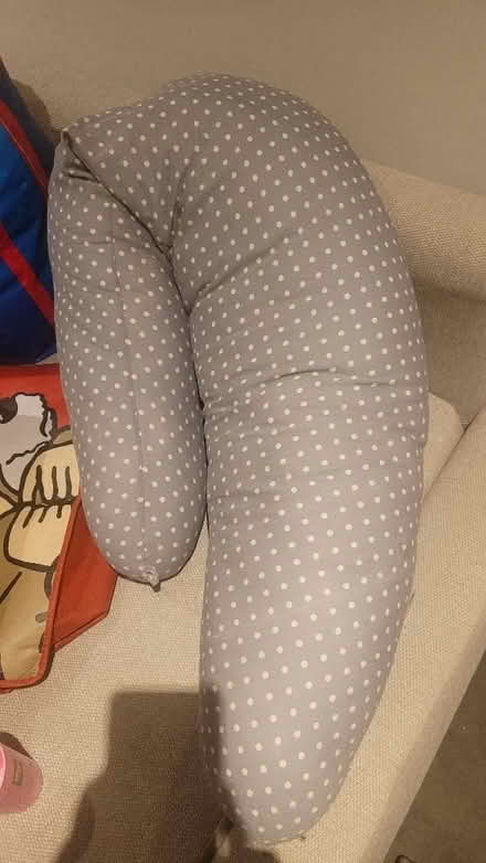 Photo of free Pregnancy Pillow (East Village E20) #1