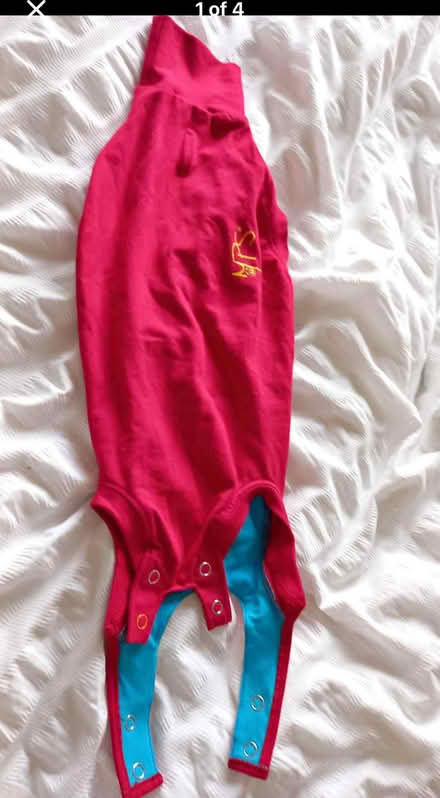 Photo of Post operation cat suit (Foxholes SG13) #1