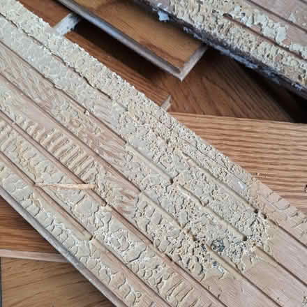 Photo of free Wood flooring (Northaw EN6) #4