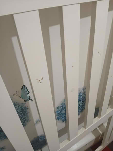 Photo of free Battered wooden headboard (Edge of moss. SK11) #2