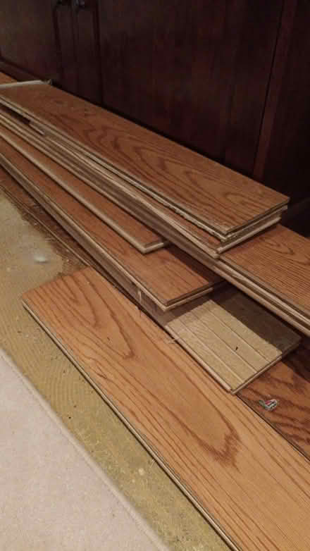 Photo of free Wood flooring (again) (Northaw EN6) #3