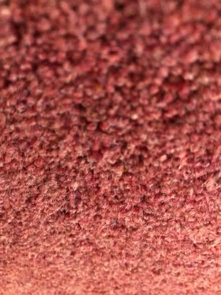 Photo of free Pink Carpet (Woodley RG5) #1