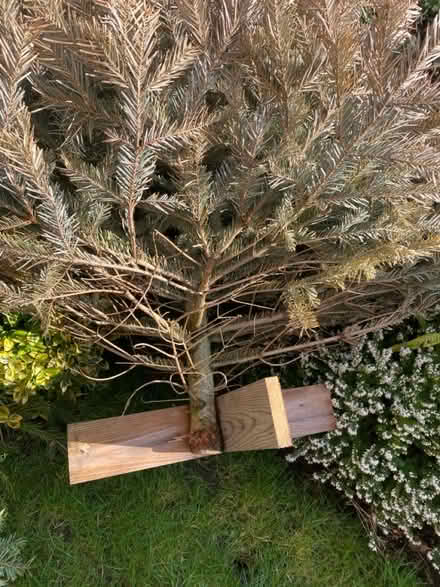 Photo of free Fire wood (Nottingham NG5) #3
