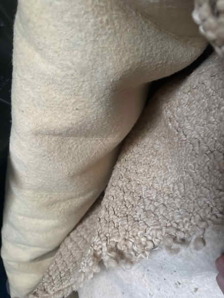 Photo of free Beige carpet (LU1 5) #2