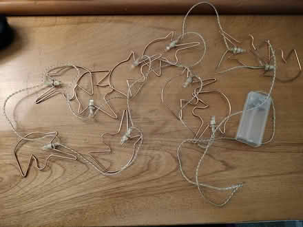 Photo of free Unicorn String Lights (Ilchester) #1
