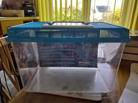 Photo of free Small aquarium or pet transport box (Eastbourne BN21 2) #2