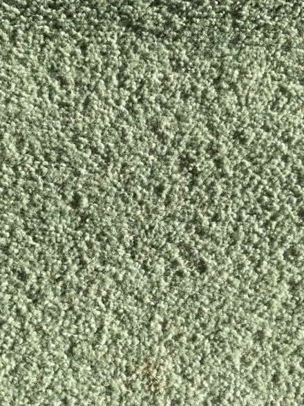 Photo of free Light green carpet (South Newington OX15) #1