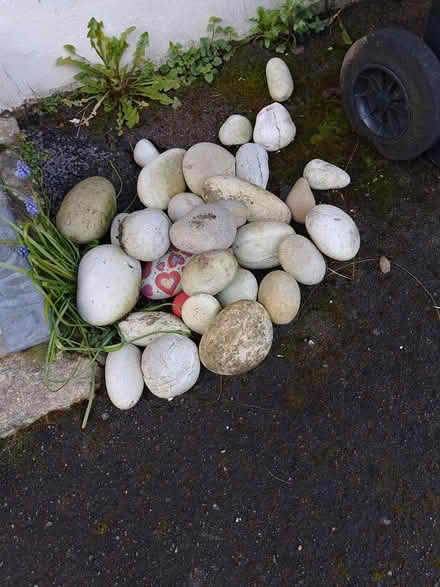 Photo of free Pile of Large Pebbles (Blandford Forum, DT11) #1