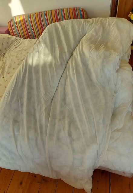 Photo of free Double duvet (west malvern) #3