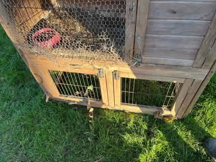 Photo of free Guinea pig hutch (Bath, Weston) #2