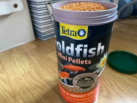 Photo of free Fish food (Kentish Town NW1) #1