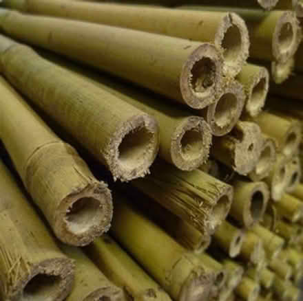 Photo of Bamboo canes (can be broken) (Southsea PO1) #1