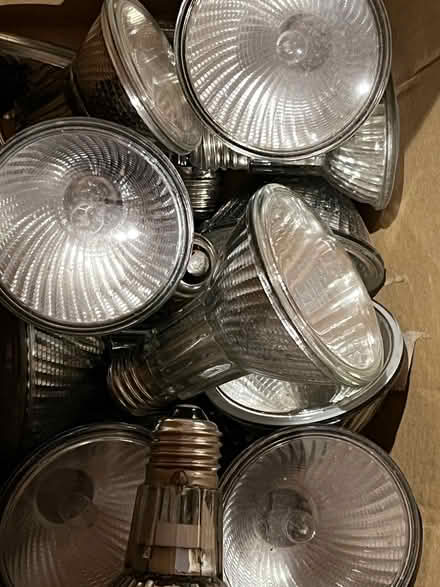Photo of free Brand new light bulbs in boxes (Clevelode WR13) #1