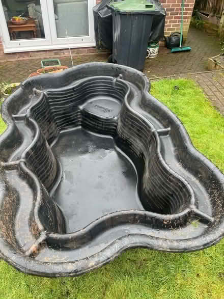 Photo of free Garden Pool (Coombe KT3) #1