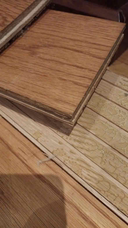 Photo of free Wood flooring (again) (Northaw EN6) #1