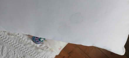 Photo of free Feather pillows (west malvern) #1