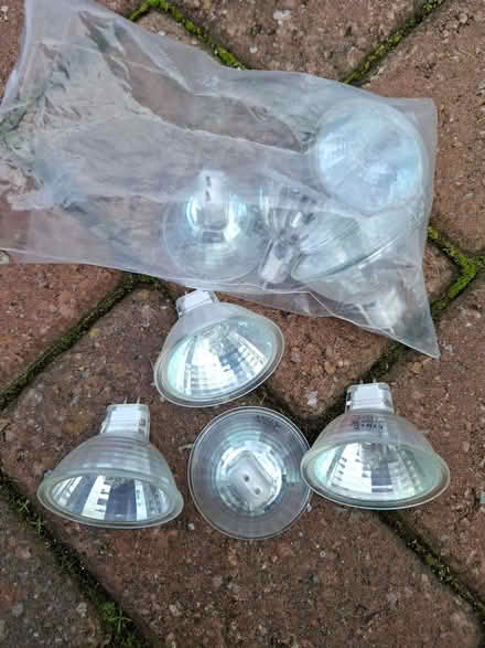Photo of free Halogen light bulbs MR16 (Meare) (Oxenpill BA6) #1