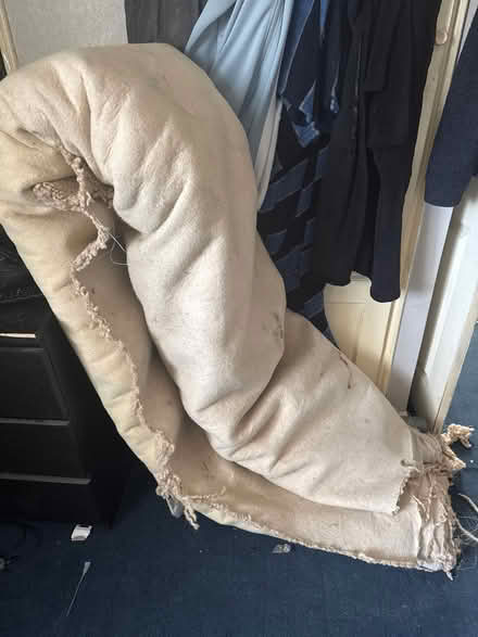 Photo of free Beige carpet (LU1 5) #1