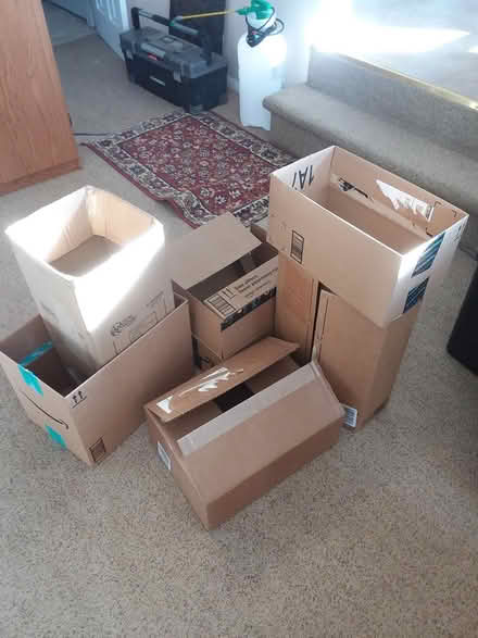Photo of free Packing boxes (King of Prussia) #1