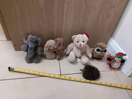 Photo of free Small Teddy bears (Byfleet KT14) #1